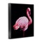 Stupell Industries Elegant & Exotic Flamingo Framed Giclee, design by James Corwin
